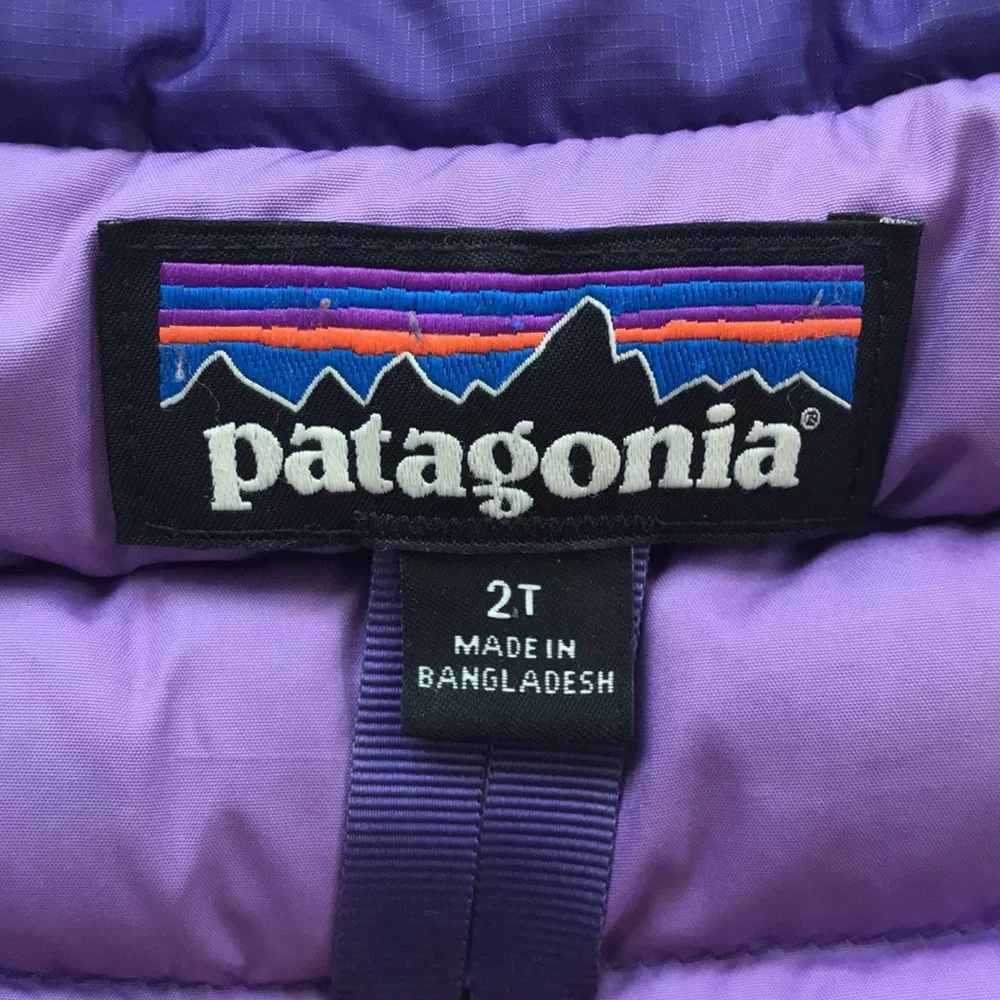 Patagonia Puffer Jacket (size 2T)